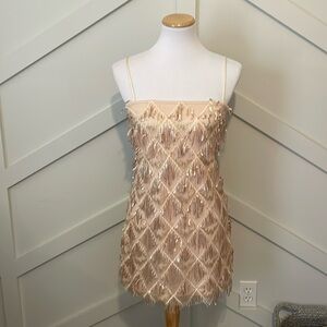 Gorgeous fringe mini dress in color: Champagne sequin😍